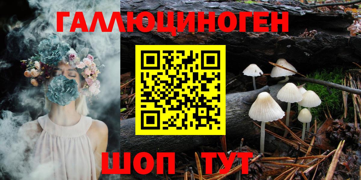 Галлюциногенные грибы Psilocybine cubensis  Вход с VPN  Славянск-на-Кубани 