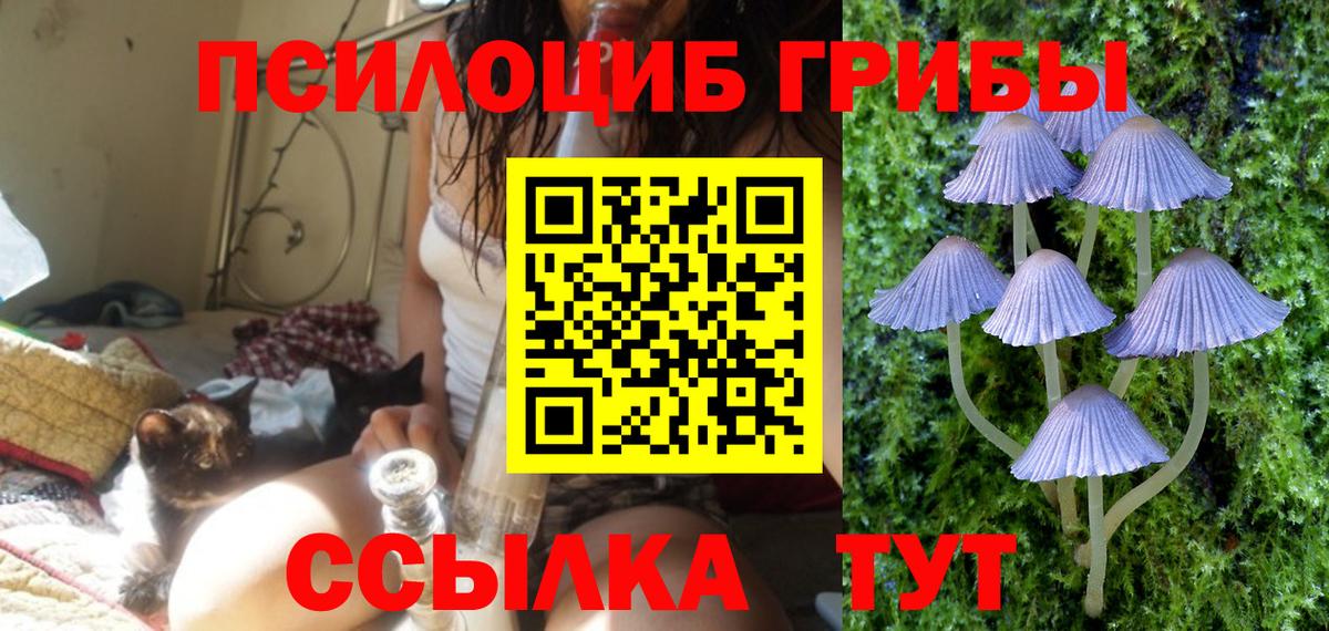 Галлюциногенные грибы ЛСД Славянск-на-Кубани